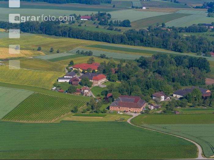Getreidefelder im Juni 13