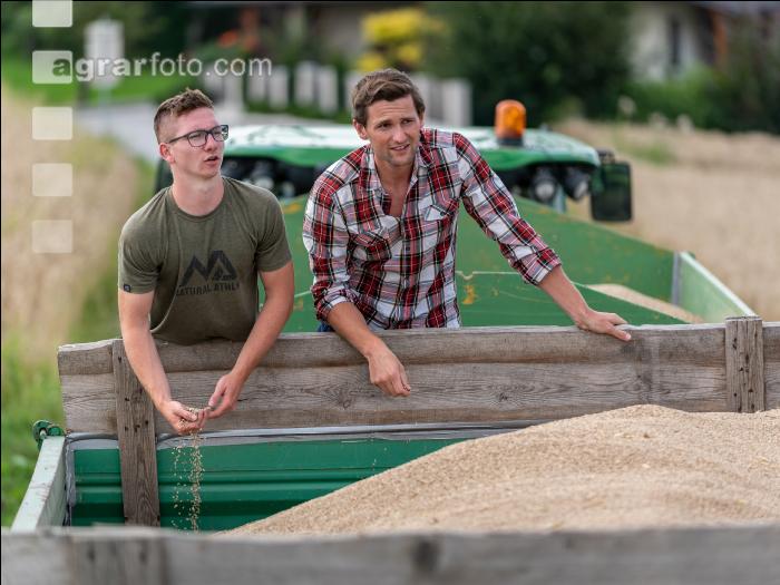 Rye harvest 67