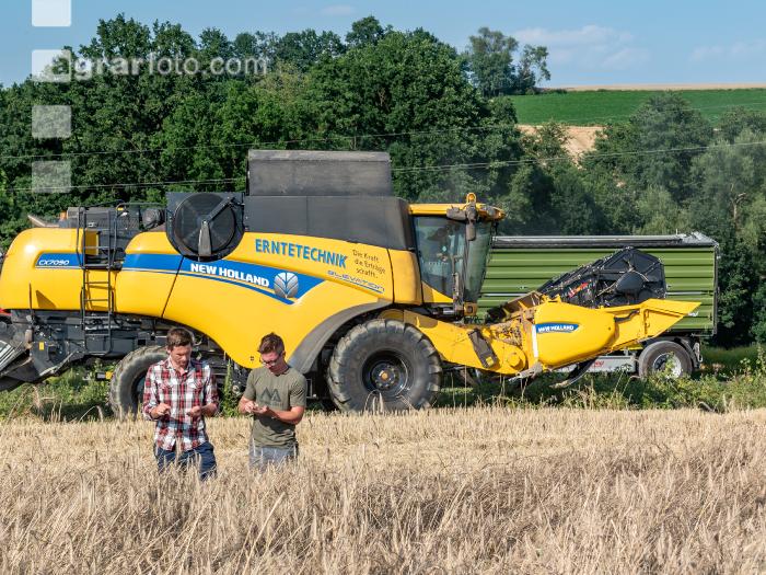 Roggen Ernte 47