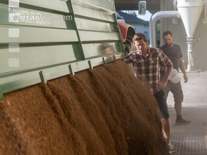 Weizen Ablieferung 105