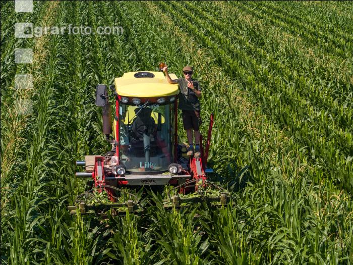 Kinder in der Landwirtschaft 19