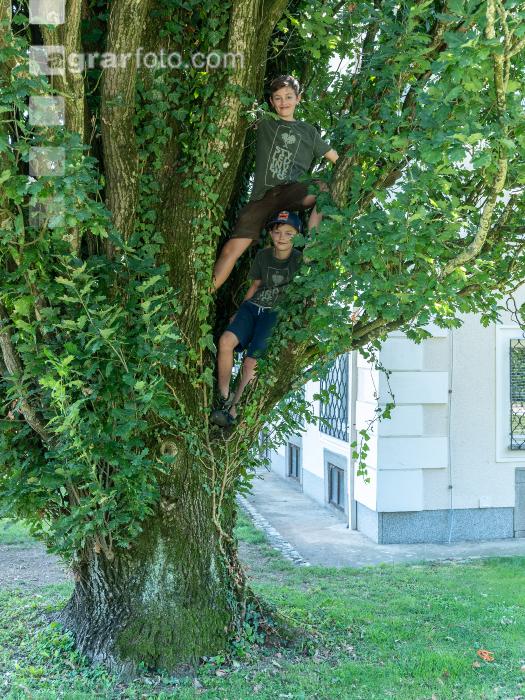 Kinder in der Landwirtschaft 16