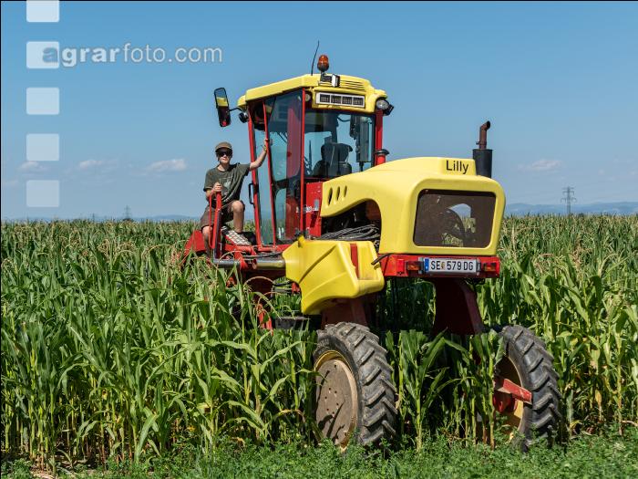 Kinder in der Landwirtschaft 15
