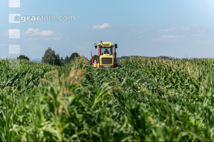 Kinder in der Landwirtschaft 11