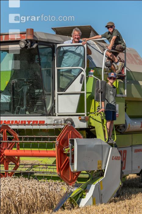 Wheat harvest 255