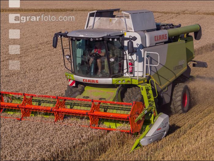 Weizen Ernte 240