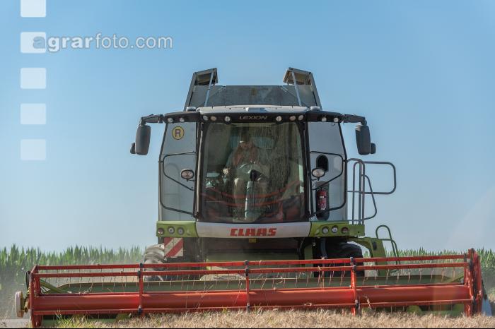 Weizen Ernte 212