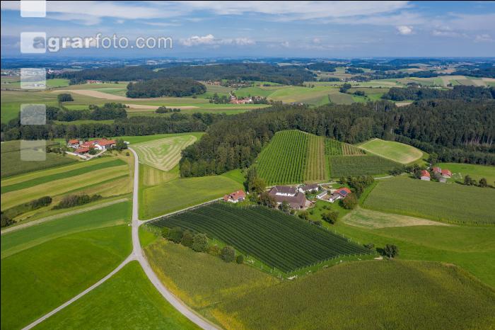 Bioapfelhof 19