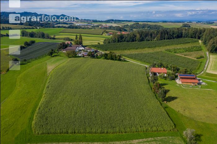 Bioapfelhof 15