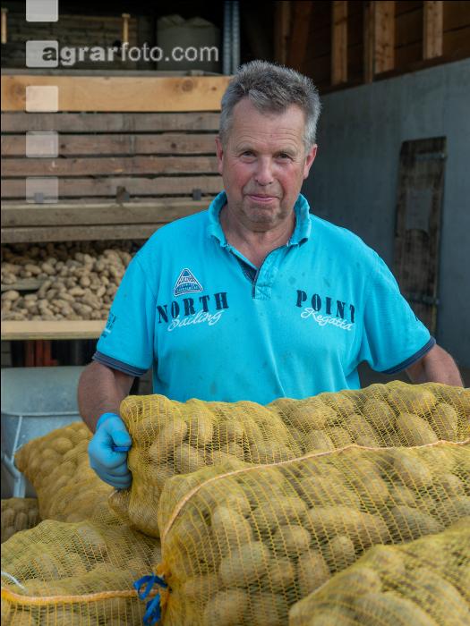 Speisekartoffel Ernte 1