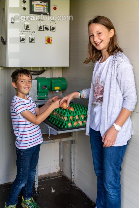 Mobiler Hennenstall 23