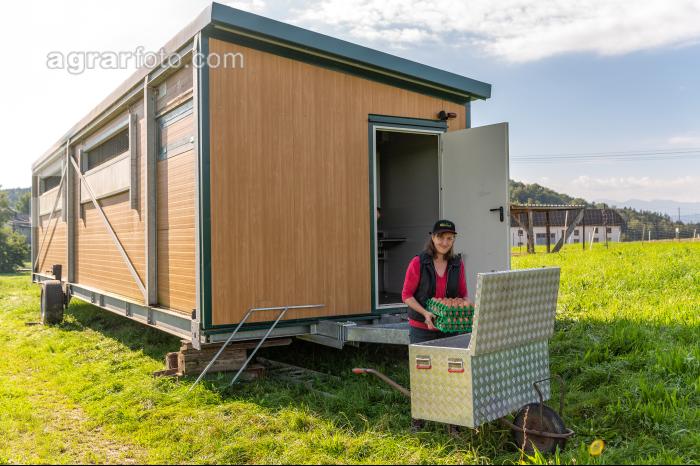 Mobiler Hennenstall 18