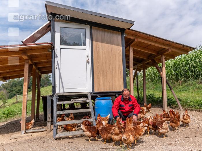 Kleiner Hennenstall 12