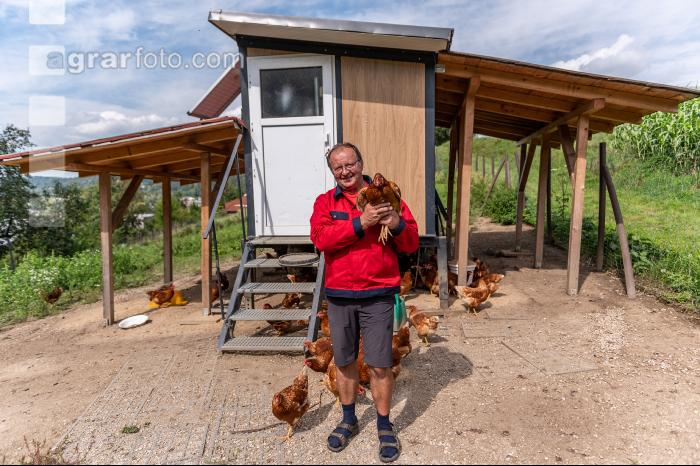 Kleiner Hennenstall 8