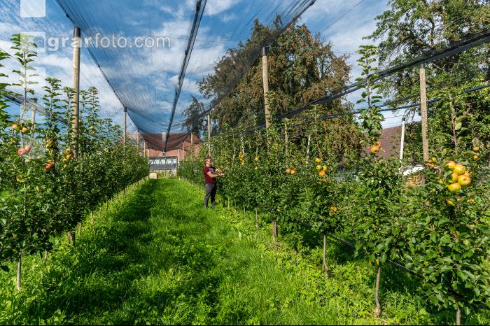Bioapfelhof 2