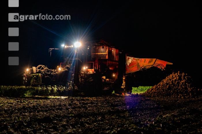Rübenernte in der Nacht 2