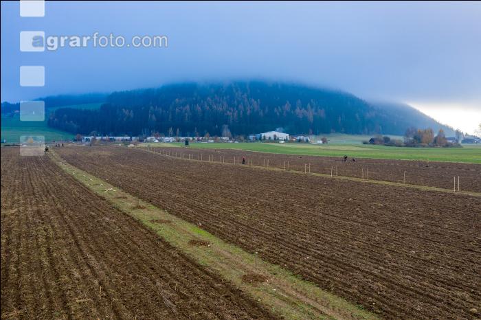 Agroforst anlegen 21