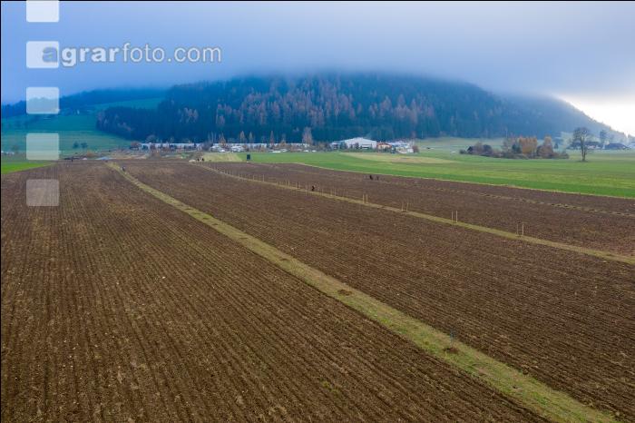 Agroforst anlegen 20