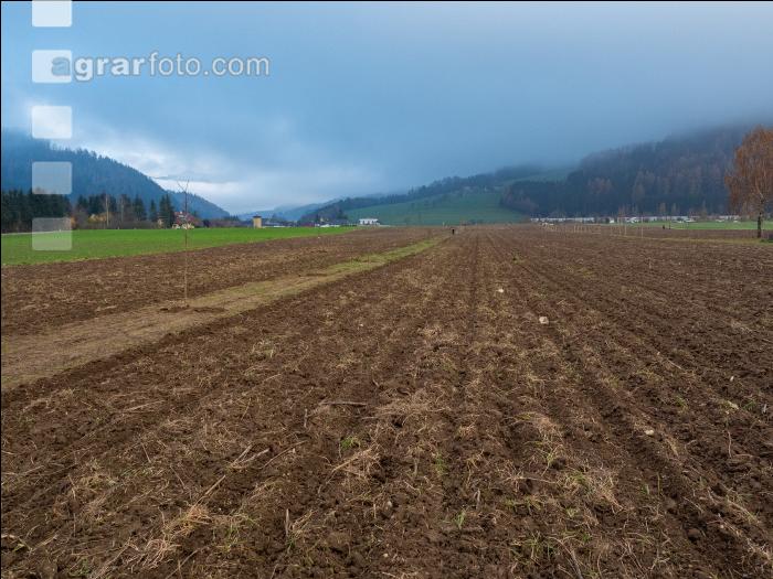 Agroforst anlegen 9