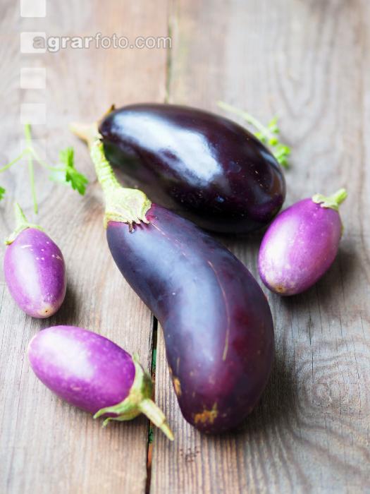 Aubergine 4