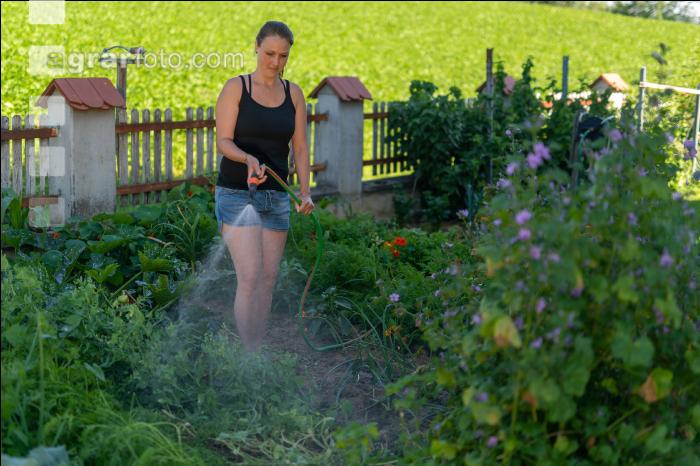 Gartenarbeit 16