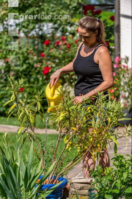 Gartenarbeit 4