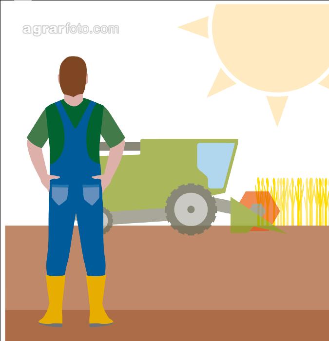 Landwirtschaft und Witterung 4