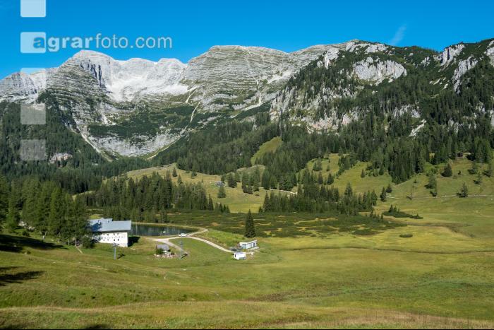 Alpine Region 11