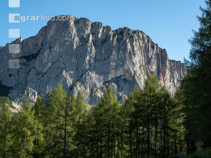 Alpine Region 10
