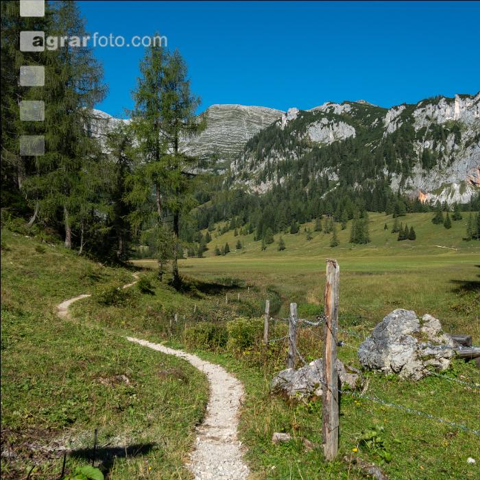 Alpine Region 9