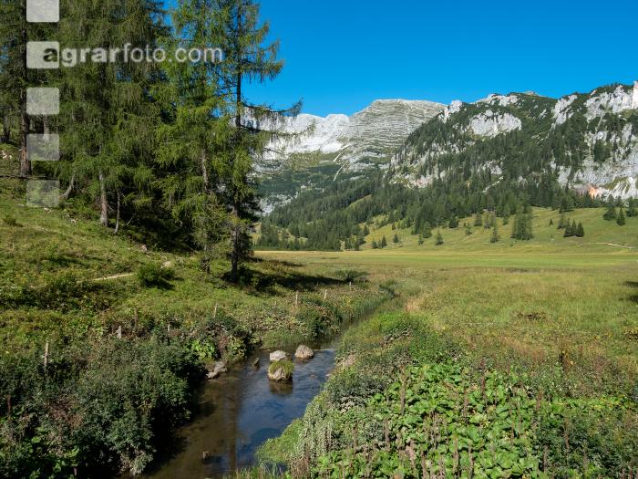 Alpine Region 8
