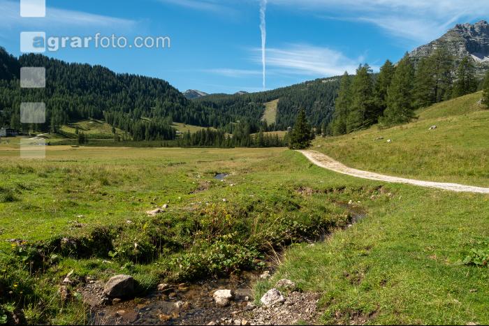 Alpine Region 7