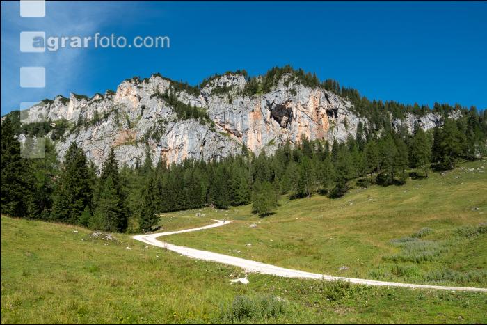 Alpine Region 6