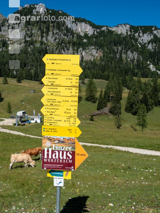 Wandern 15