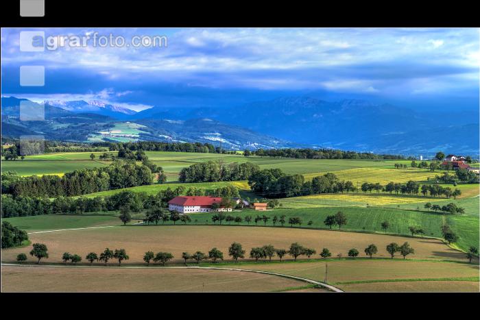 Alpenvorland im Juni 1