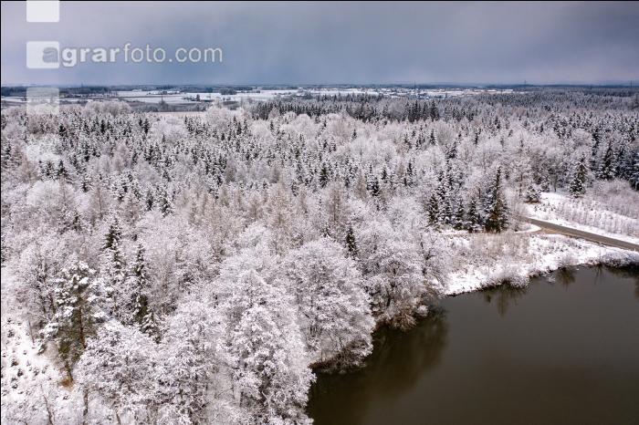 Winter Wonderland 28