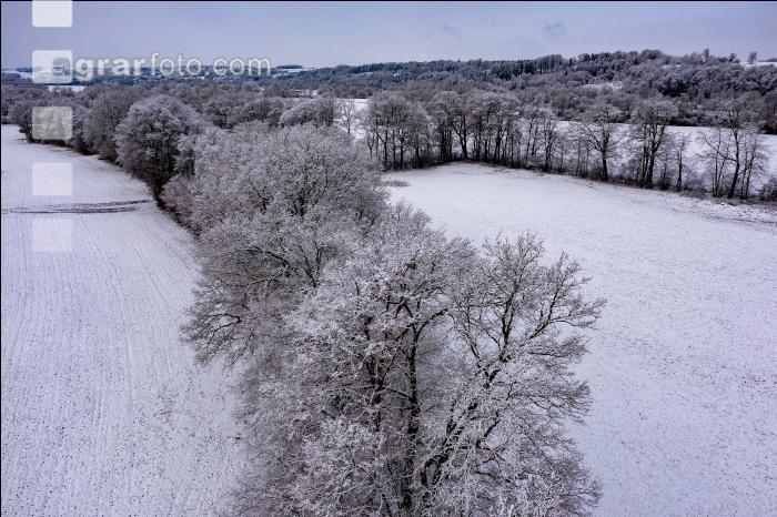 Winter Wonderland 27