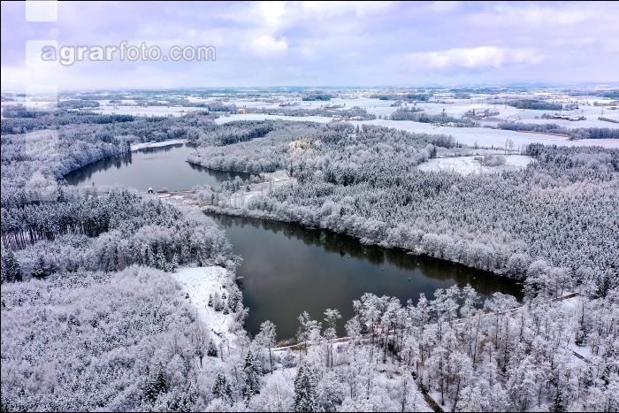 Winter Wonderland 22