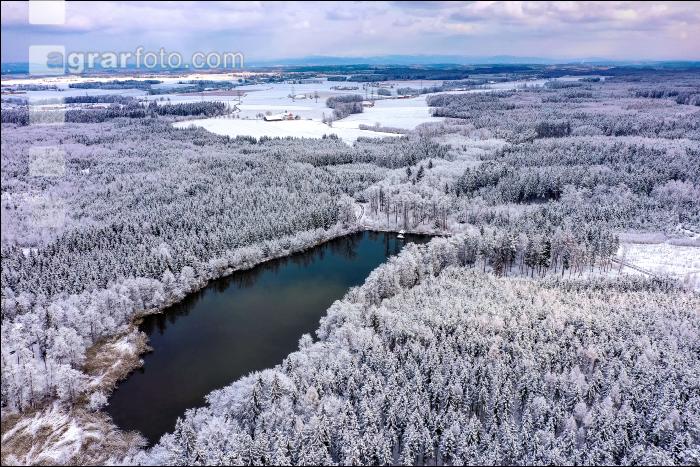 Winter Wonderland 20
