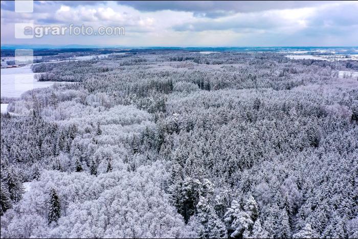 Winter Wonderland 19