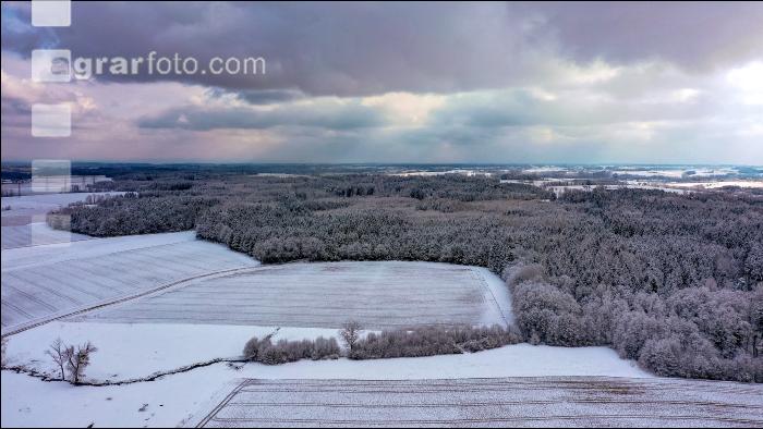 Winter Wonderland 18