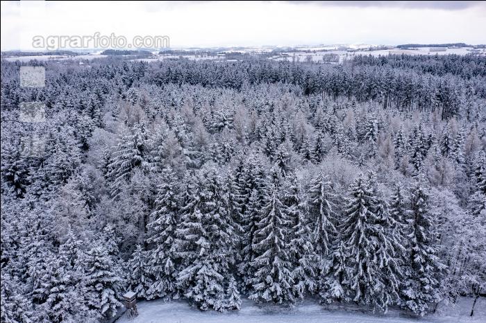 Winter Wonderland 16