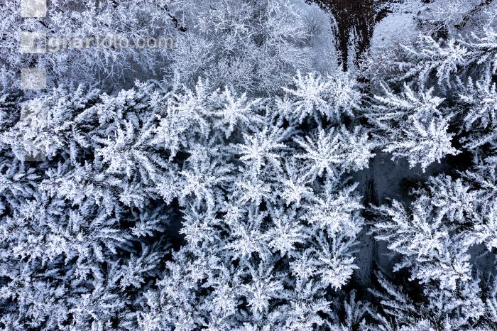 Winter Wonderland 15
