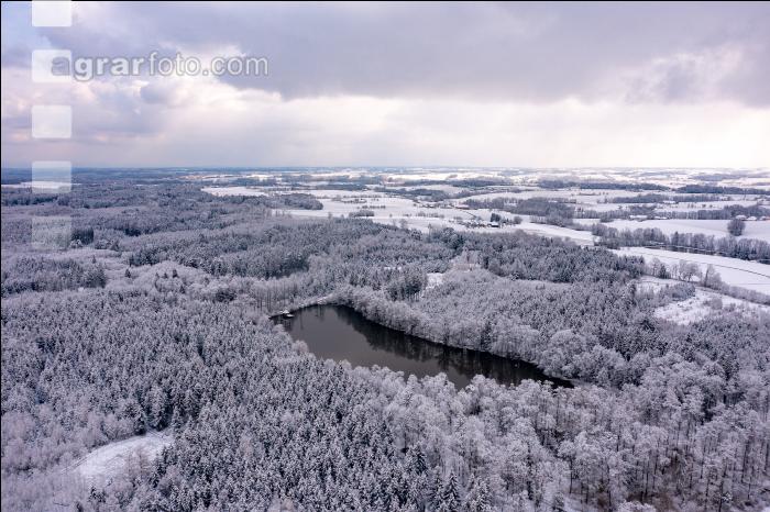 Winter Wonderland 12