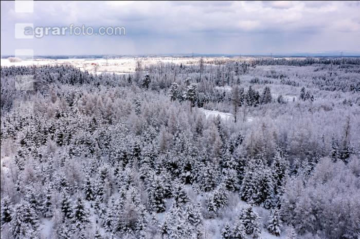 Winter Wonderland 8