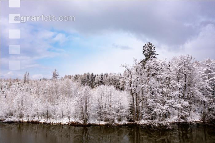 Winter Wonderland 1