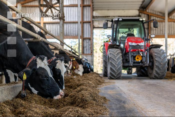Totalmischration Holstein 16
