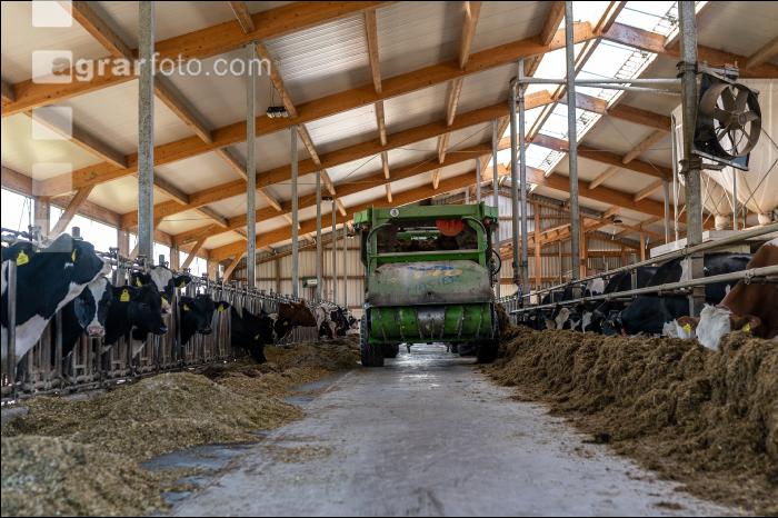 Totalmischration Holstein 14