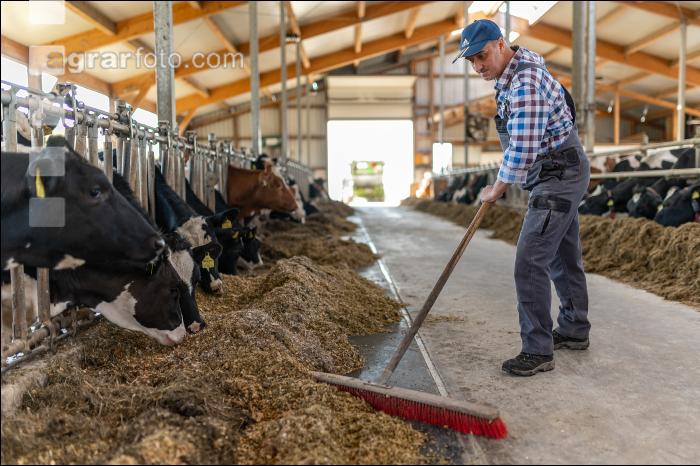 Totalmischration Holstein 9