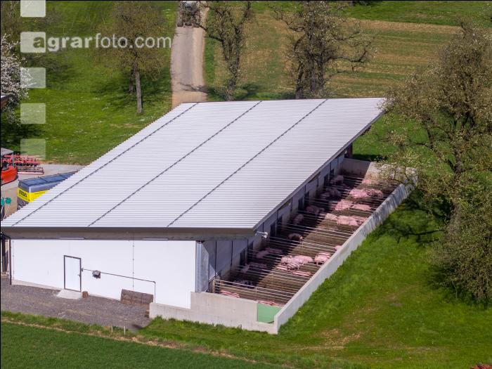 Pigport-3 4
